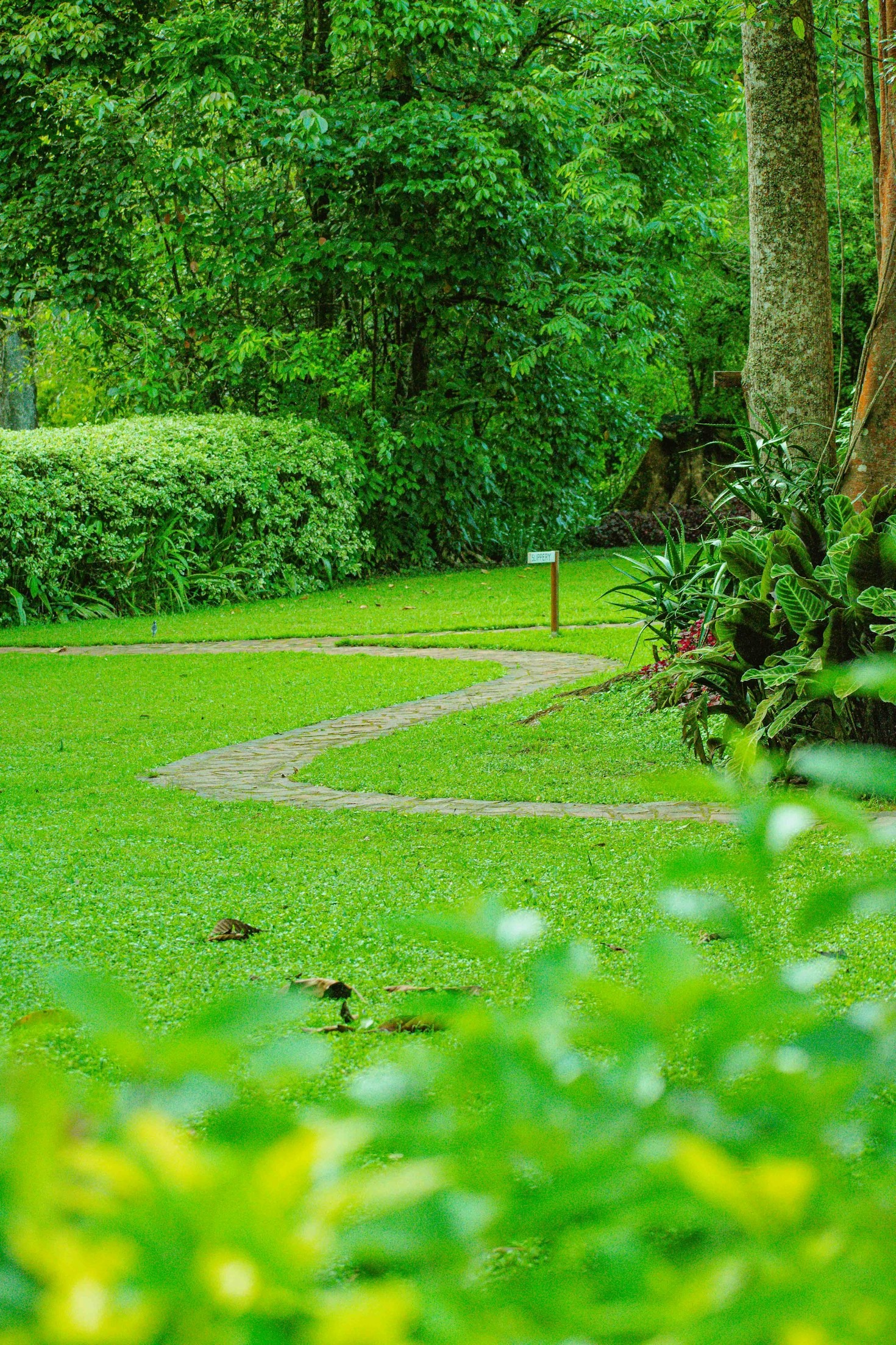 Essential Tools for Every Allotmenteer